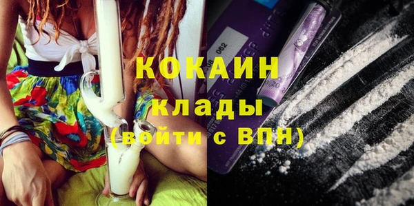 ГАЛЛЮЦИНОГЕННЫЕ ГРИБЫ Медвежьегорск