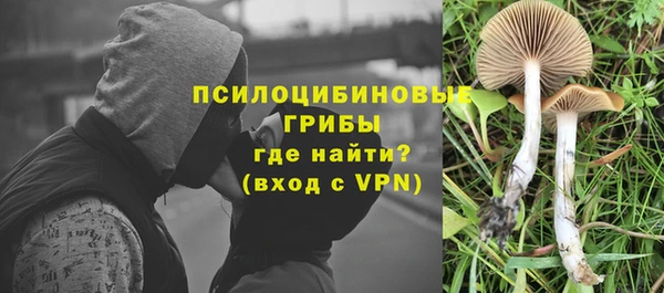 MDMA Медногорск