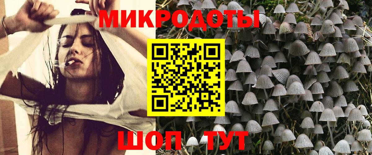 Галлюциногенные грибы Magic Shrooms Джанкой